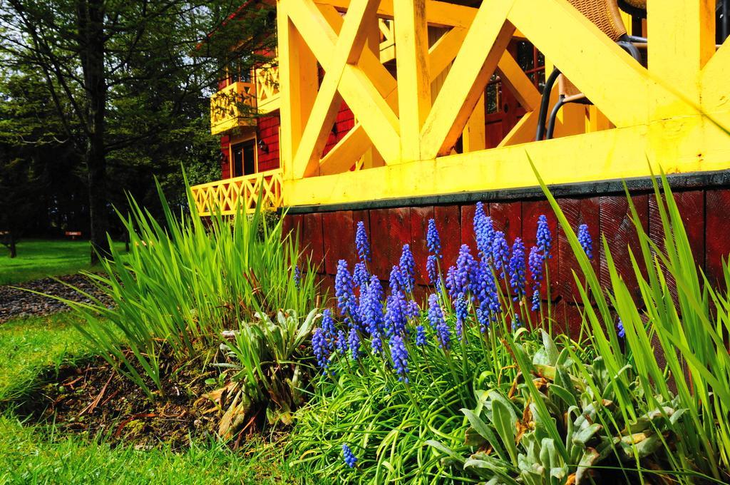 Hotel Y Cabanas Patagonia Green بويرتو آيسن المظهر الخارجي الصورة